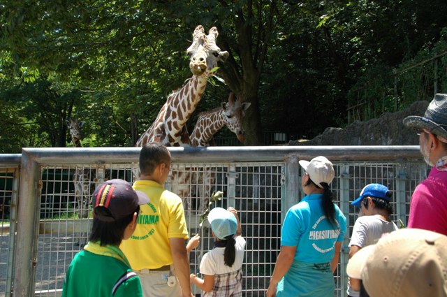 ブログ記事「サマースクール」のサムネイル画像