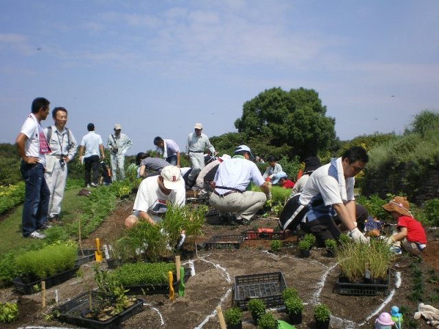 ブログ記事「花いっぱいプロジェクト“秋の花をみんなで植えてみよう”後編」のサムネイル画像