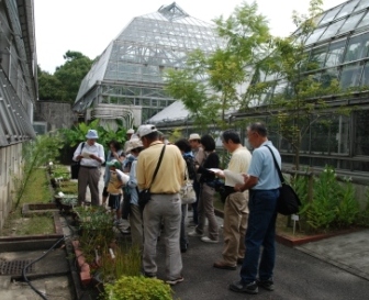 ブログ記事「絶滅危惧植物を中心とした自然観察会のご案内」のサムネイル画像