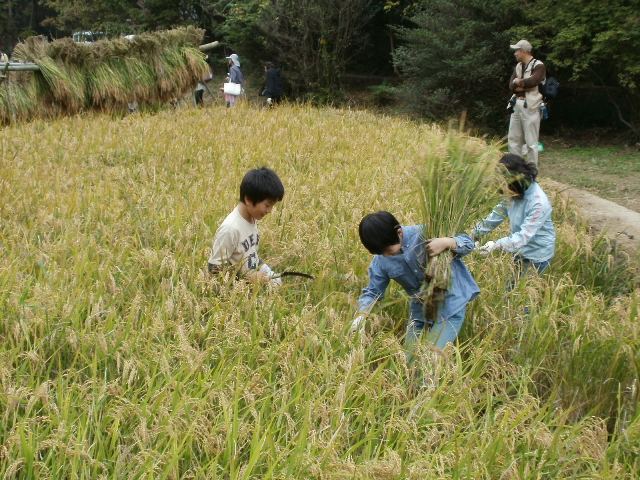ブログ記事「平和公園で里山のくらし体験？？？」のサムネイル画像