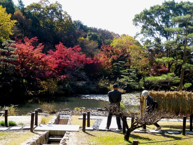 ブログ記事「紅葉情報2010（３） 奥池がそろそろ見頃です」のサムネイル画像