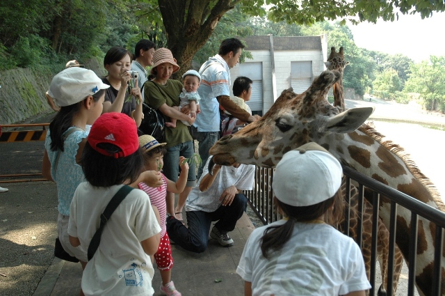 ブログ記事「新春２日から動植物園に行こう！」のサムネイル画像