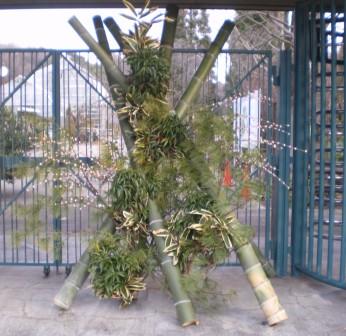 ブログ記事「植物園　新年のよそおい」のサムネイル画像