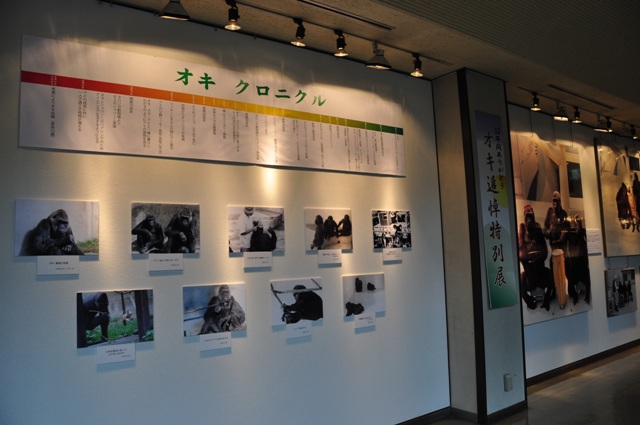 ブログ記事「オキ追悼特別展」のサムネイル画像