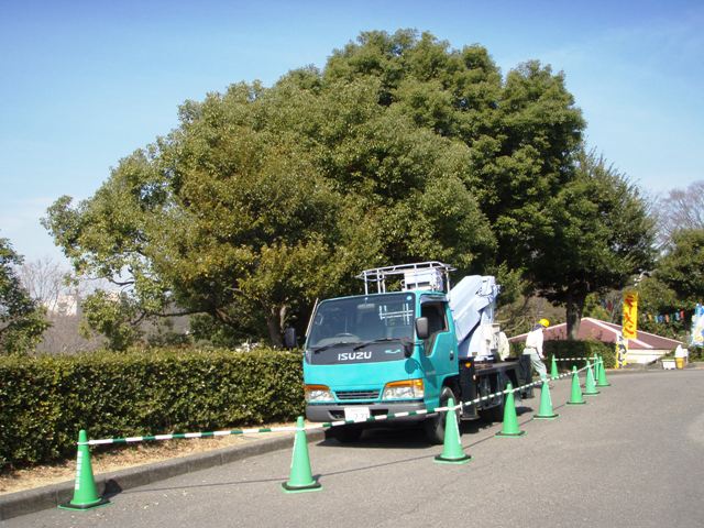 ブログ記事「びよ〜ん!!」のサムネイル画像