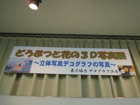 ブログ記事「「どうぶつと花の3D写真展〜立体写真デコグラフの世界〜」が始まります」のサムネイル画像