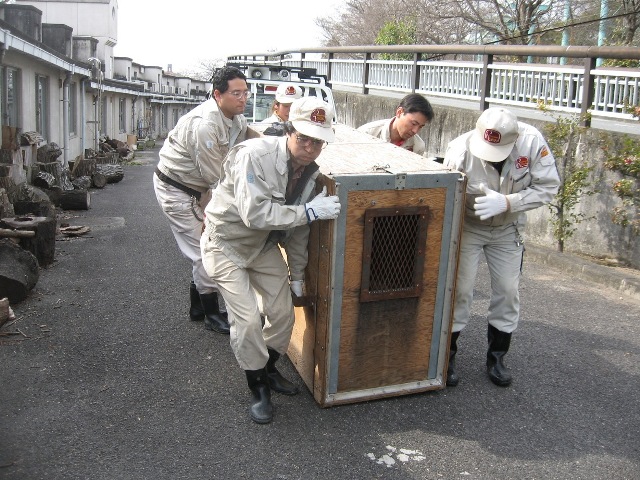 ブログ記事「一人前になるために・・・」のサムネイル画像