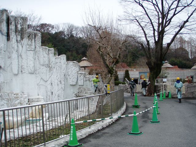 ブログ記事「熊がきたぞ〜」のサムネイル画像