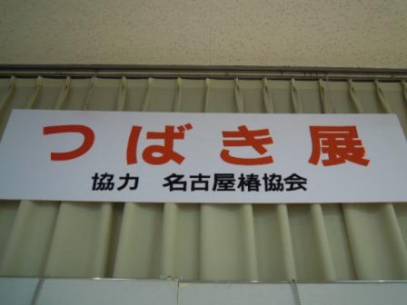 ブログ記事「つばき展のご紹介」のサムネイル画像