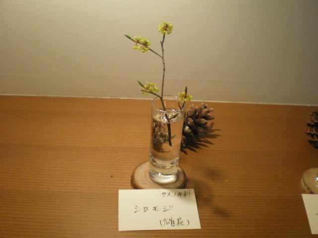 ブログ記事「小さな春見つけた！春を感じる小さなお花の展示」のサムネイル画像