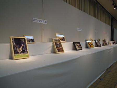 ブログ記事「今週は「どうぶつと花の3D写真展〜立体写真デコグラフの世界〜」です」のサムネイル画像
