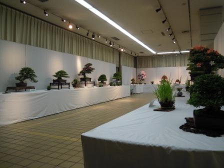 ブログ記事「今週は「花季さつき展示会」です」のサムネイル画像