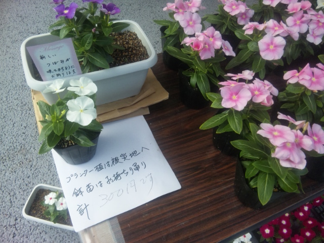 ブログ記事「「あいちの鉢花で被災地に元気を！」プロジェクト」のサムネイル画像