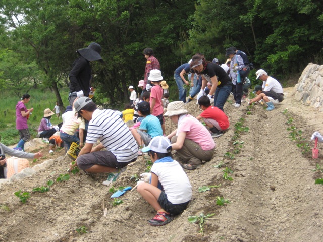 ブログ記事「平和公園くらしの森で里山作業体験！」のサムネイル画像