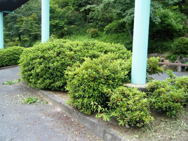 ブログ記事「刈りあげ君　‾お願い編‾」のサムネイル画像