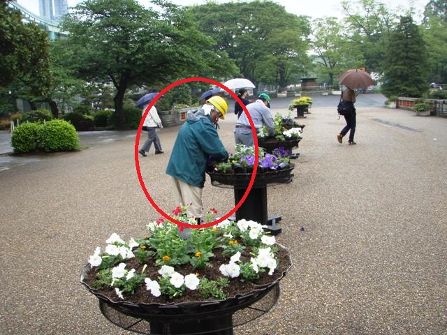 ブログ記事「動物園　花　あります☆」のサムネイル画像