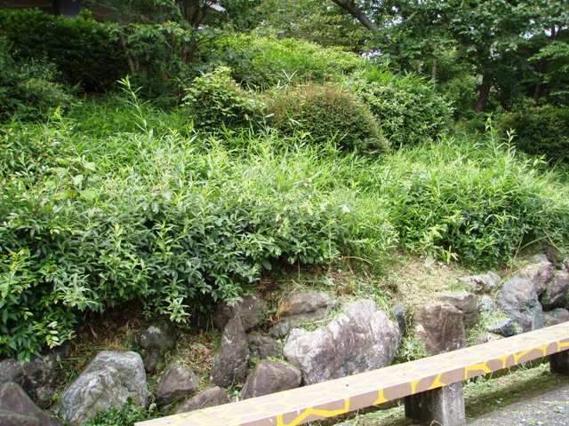 ブログ記事「刈りあげ君　〜かめ編〜」のサムネイル画像
