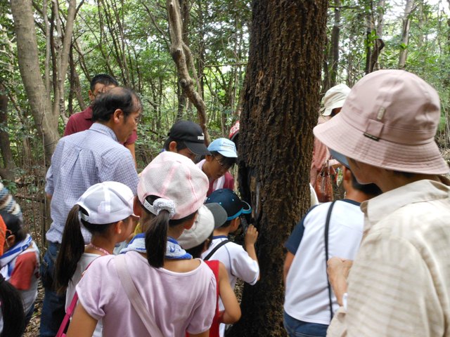 ブログ記事「植物園でサマースクールを開催しました！」のサムネイル画像
