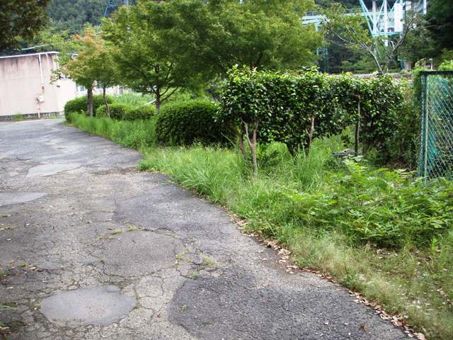 ブログ記事「エサじゃないよ!!」のサムネイル画像
