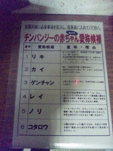 ブログ記事「チンパンジーの愛称」のサムネイル画像