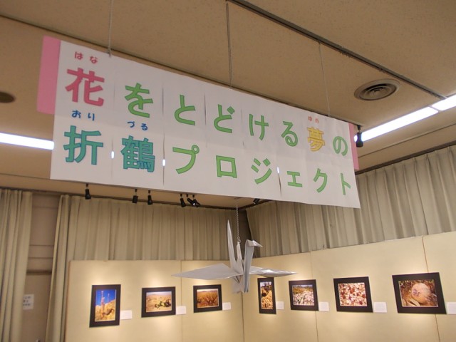ブログ記事「花をとどける夢の折鶴プロジェクト　中間発表！！」のサムネイル画像