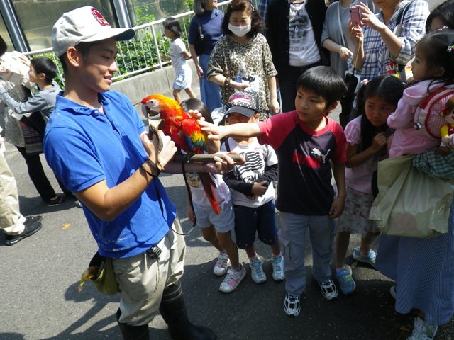 ブログ記事「マルちゃんのその後」のサムネイル画像