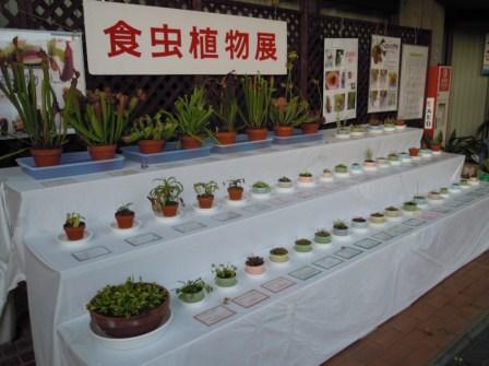 ブログ記事「「食虫植物展」のご紹介」のサムネイル画像