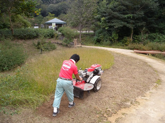 ブログ記事「春に向けて準備をしています（鬼も笑うぞ）」のサムネイル画像