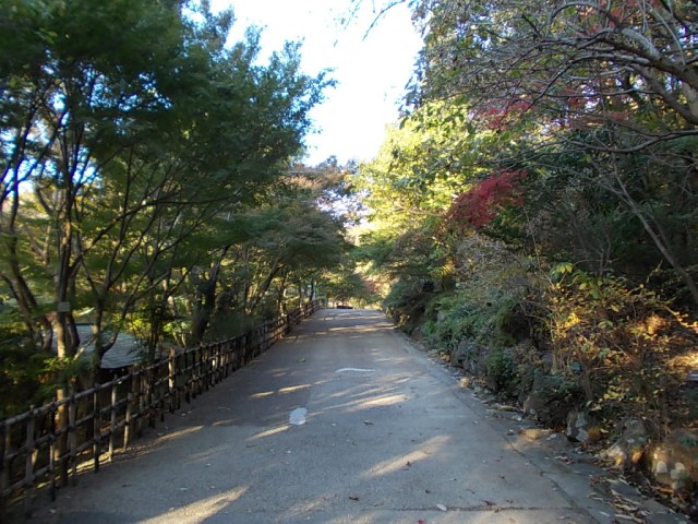ブログ記事「紅葉情報2011（３）　今の紅葉の状況は？」のサムネイル画像