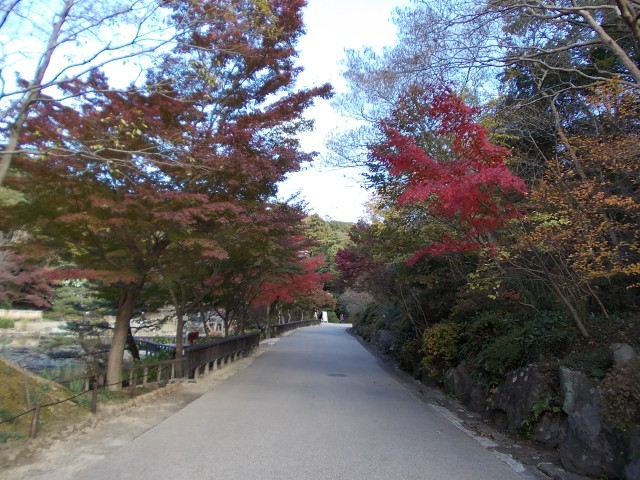 ブログ記事「紅葉情報2011（５）　寒くなってきました・・・」のサムネイル画像