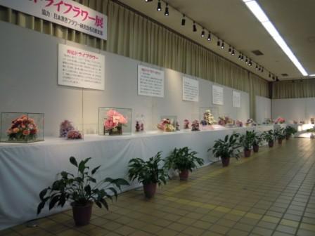 ブログ記事「「原色ドライフラワー展」をご紹介します」のサムネイル画像