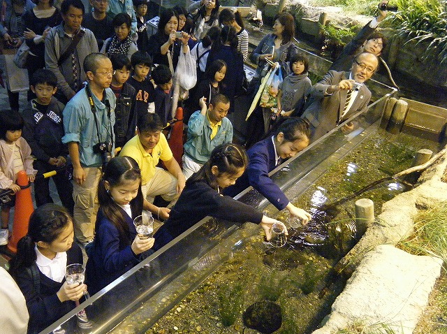 ブログ記事「名古屋メダカの放流式と飼育記録・自由研究発表会開催」のサムネイル画像