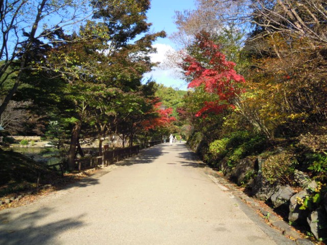 ブログ記事「紅葉情報2011（４）　現在の紅葉の状況は？」のサムネイル画像