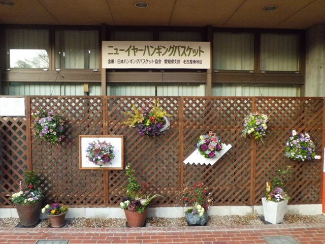 ブログ記事「ニューイヤーハンギングバスケット」のサムネイル画像