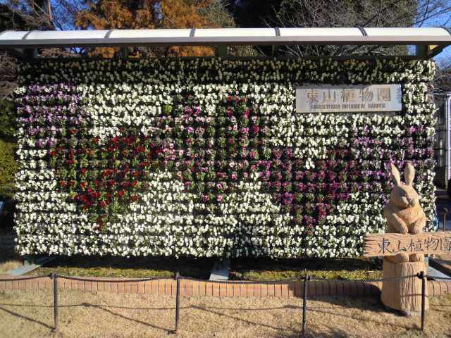 ブログ記事「植物園のホットスポット」のサムネイル画像