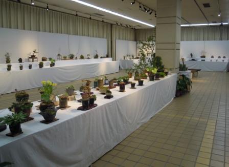 ブログ記事「山野草同好会作品展のご紹介」のサムネイル画像