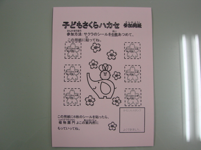 ブログ記事「子どもさくらハカセ募集中！！」のサムネイル画像