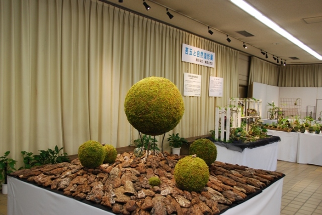 ブログ記事「植物会館展示会「苔玉と自然造形展」のお知らせ」のサムネイル画像