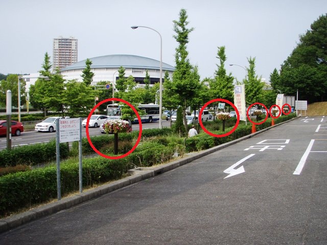 ブログ記事「バトンタッチ」のサムネイル画像