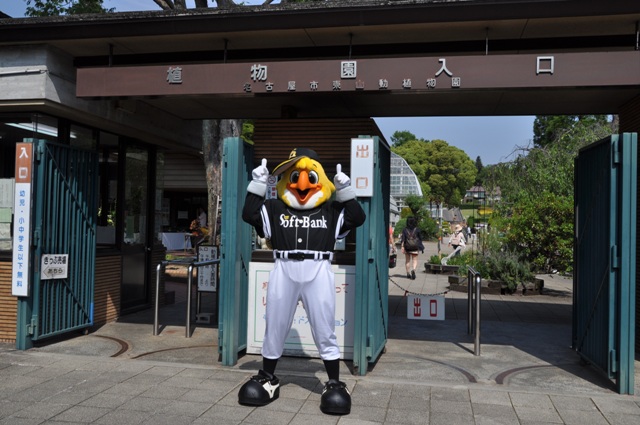 ブログ記事「ハリーホークがやってきた！」のサムネイル画像