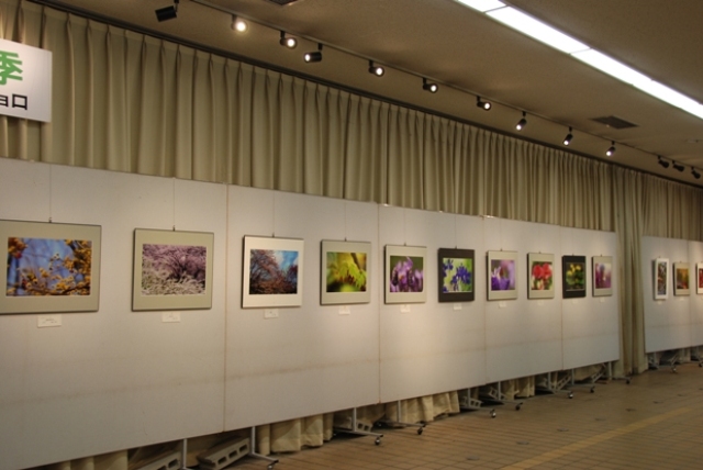 ブログ記事「植物会館展示会「写真展 東山の四季」のお知らせ」のサムネイル画像