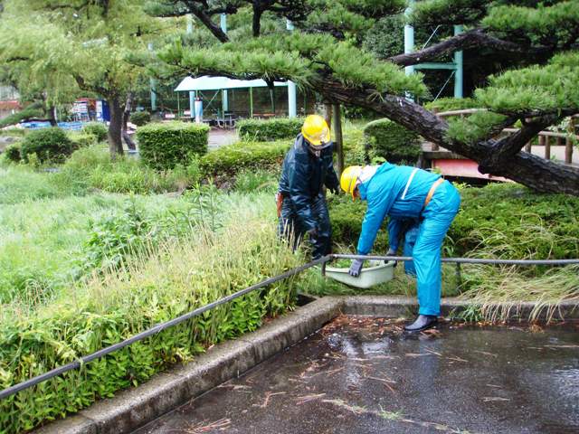 ブログ記事「台風近づくその時に」のサムネイル画像