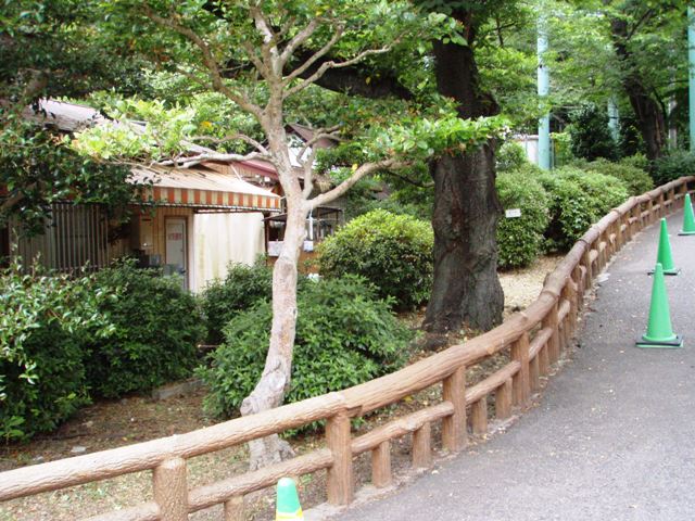 ブログ記事「色々な場所で」のサムネイル画像