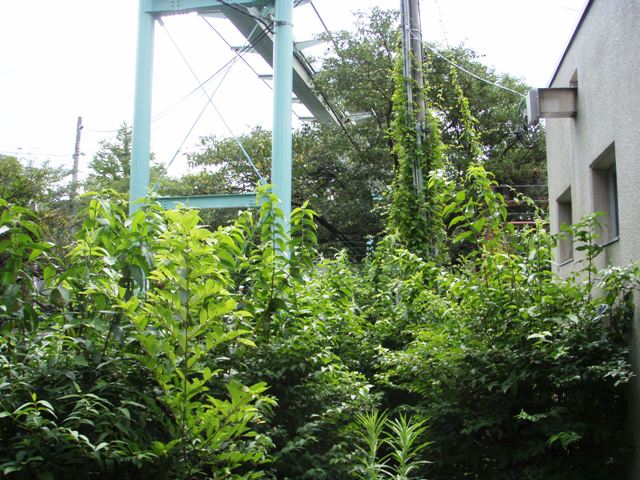 ブログ記事「いろんな作業」のサムネイル画像