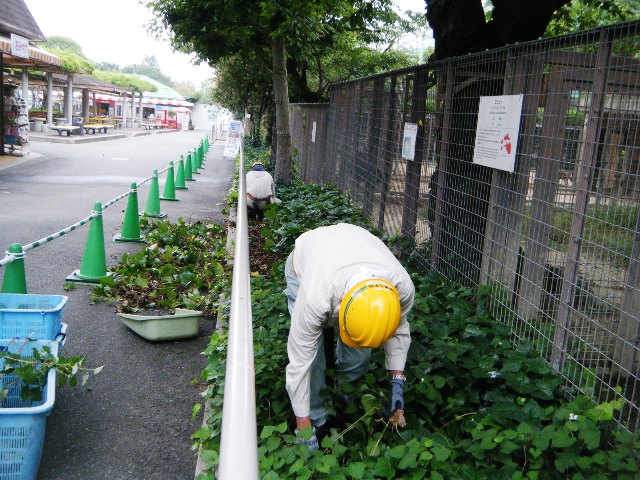 ブログ記事「必死なワラビーちゃん」のサムネイル画像