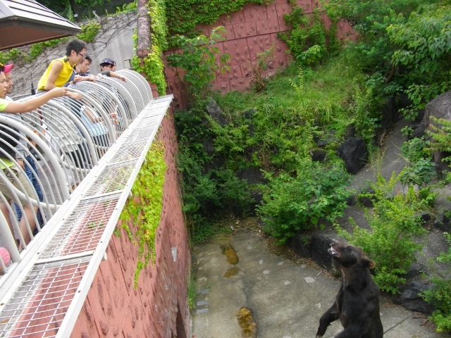 ブログ記事「夏休みこども講座の定員にまだ余裕があります！」のサムネイル画像