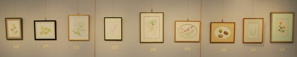 ブログ記事「植物会館展示会「ボタニカルアート展」のお知らせ」のサムネイル画像