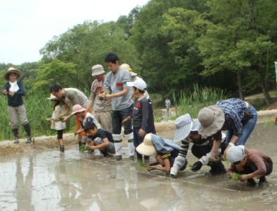 ブログ記事「平和公園くらしの森で里山作業体験Ｈ２４！」のサムネイル画像