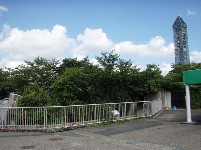 ブログ記事「こども動物園のタヌキさん」のサムネイル画像