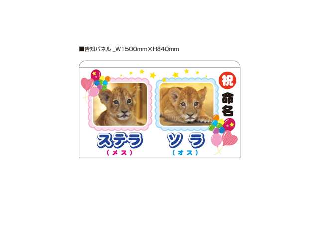 ブログ記事「ライオン命名看板」のサムネイル画像